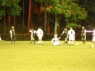 Torneio da Amizade