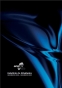 Balan�o 2009